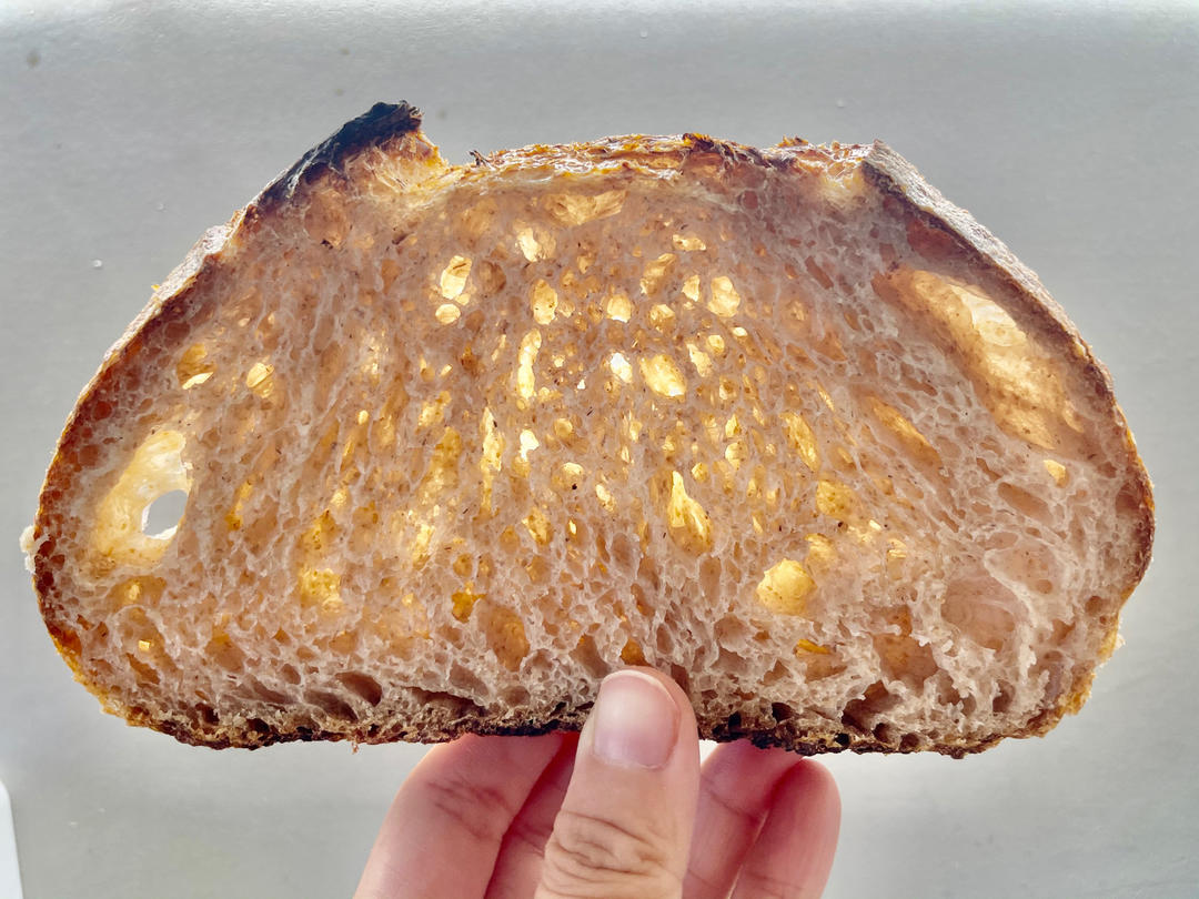 保姆教程-天然酵种欧包面团厨师机随便打