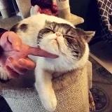 倒霉孩子吃吃吃