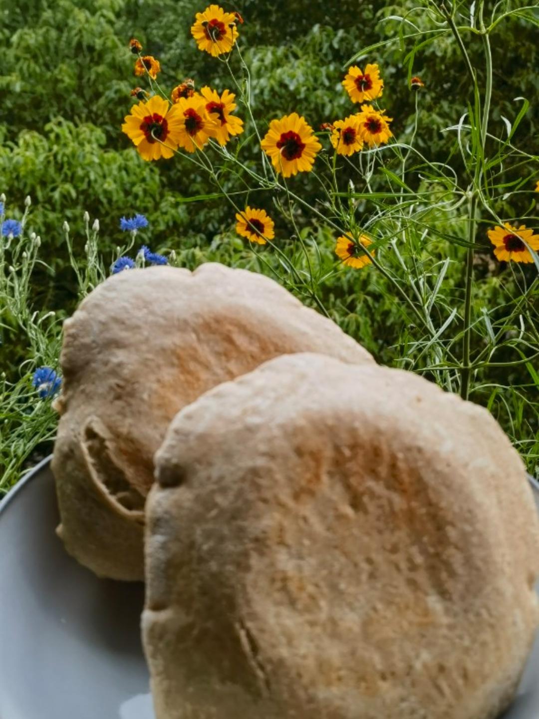 【面包食验】全麦皮塔饼 whole wheat pita bread