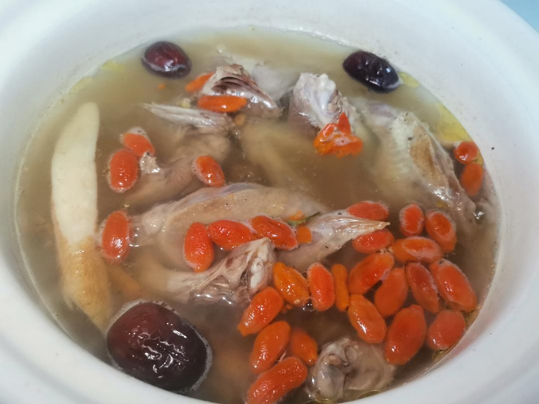 鸽子炖汤