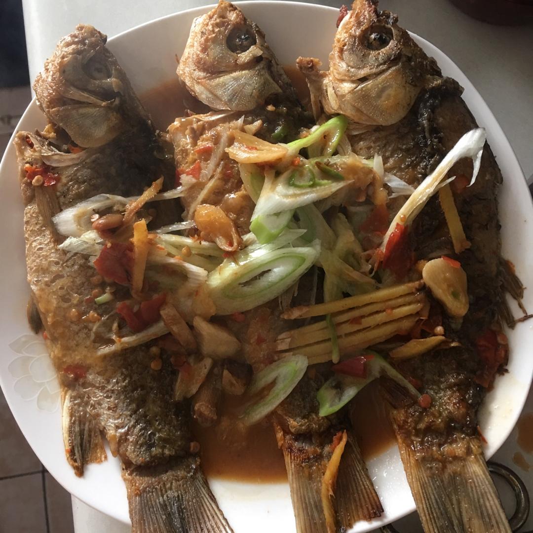 家常豆瓣鲫鱼