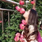 委鬼-薇薇