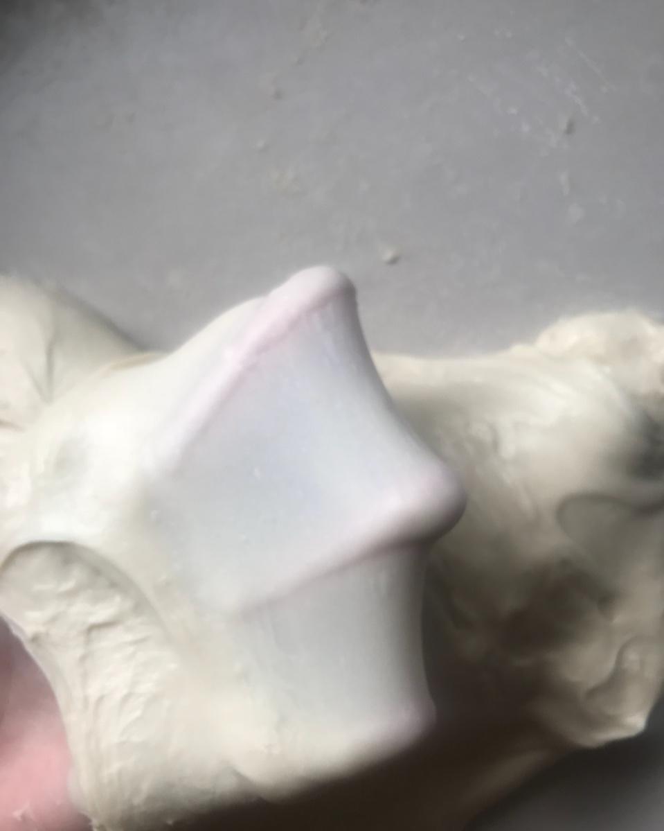 一次发酵椰蓉餐包