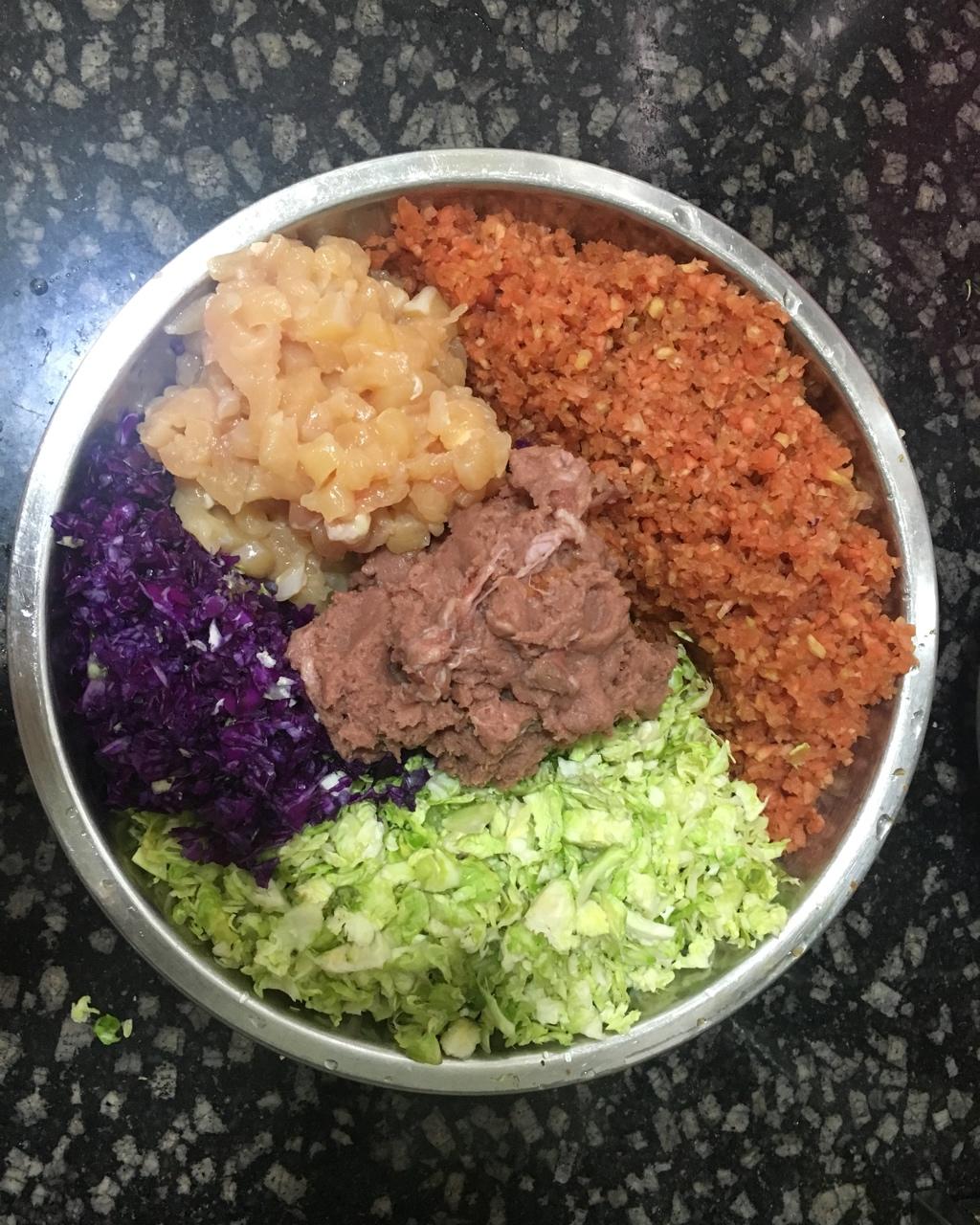 狗狗鲜食——色彩的密码