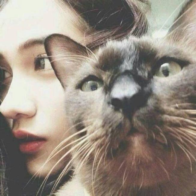 手机用户0682_wayc