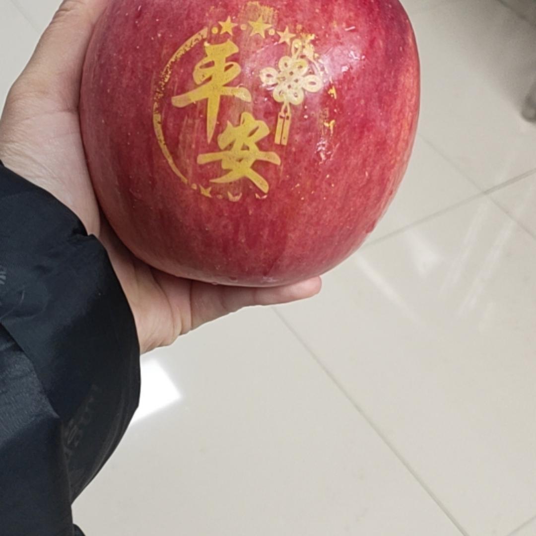 我不是机器人1536