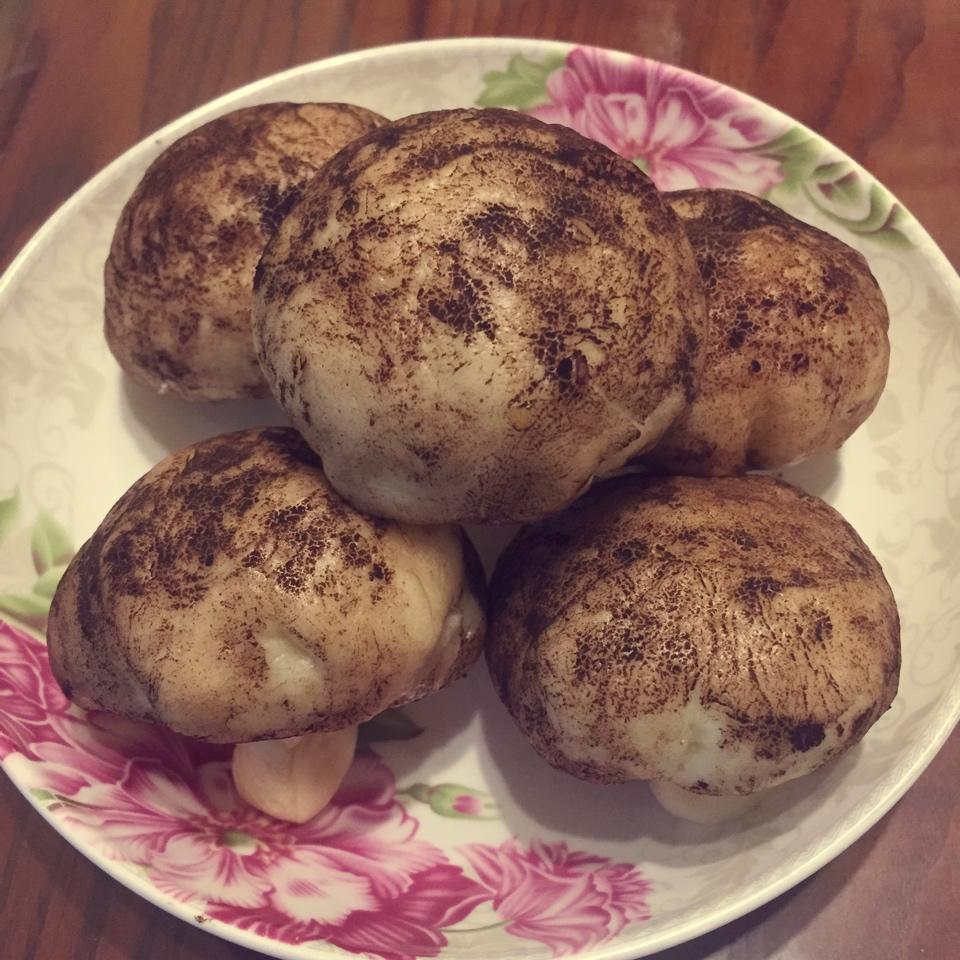 蘑菇包（奶黄馅）