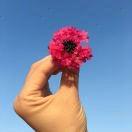 烟雨楼台之行云流水