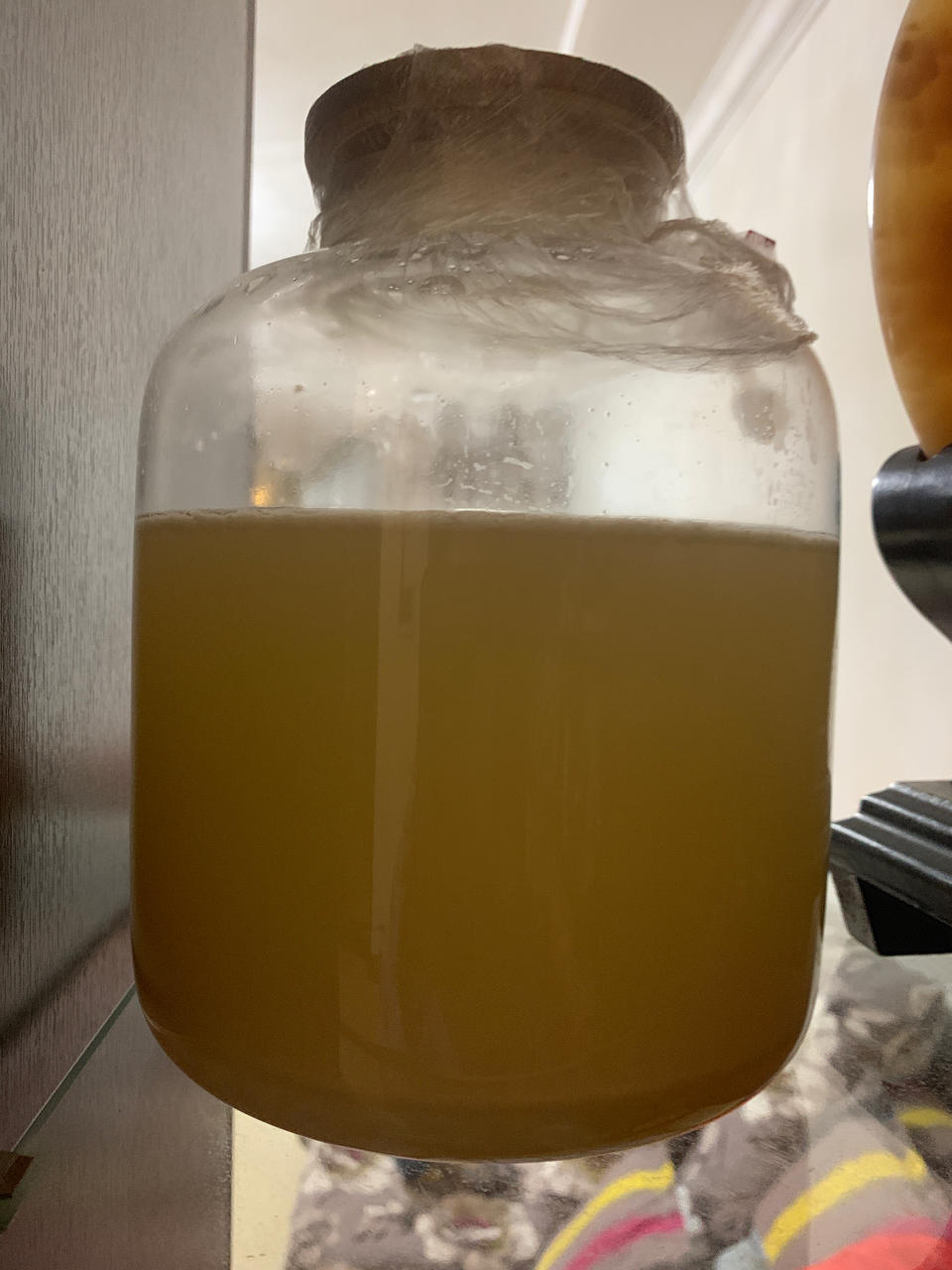 酿造荔枝酒（家庭自制版，可商用配方）