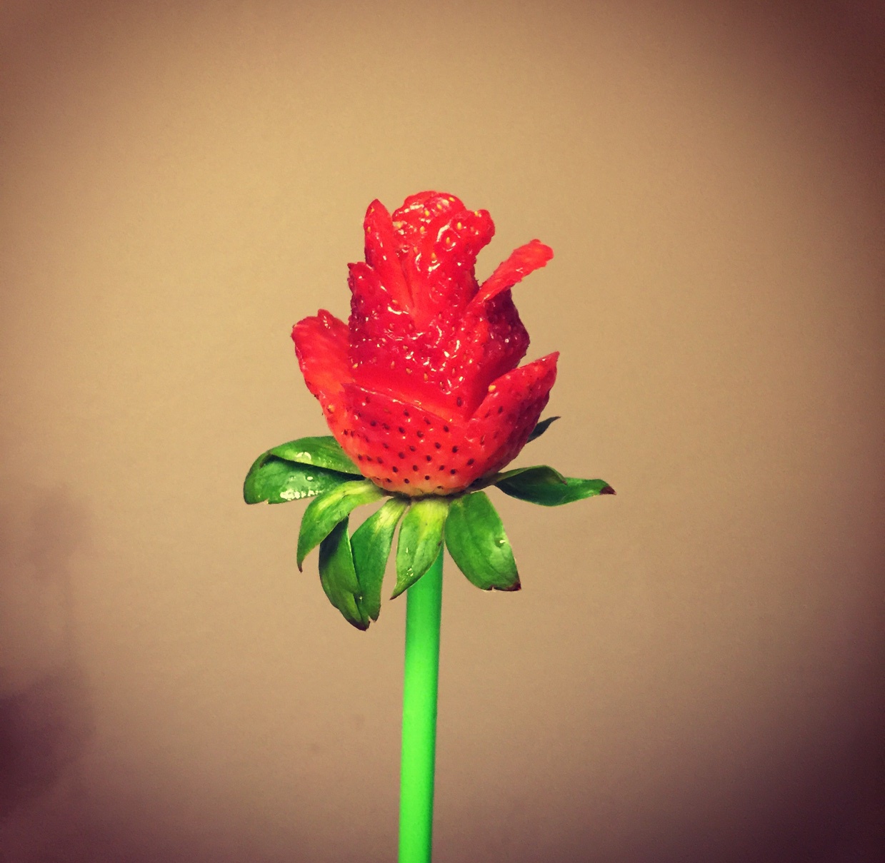 疯子怡做的草莓玫瑰花