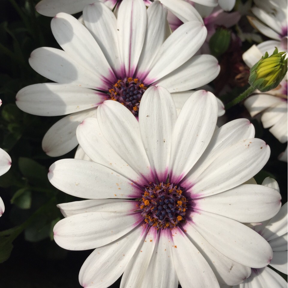 手机用户7973_wnp4