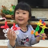 考拉不是无尾熊