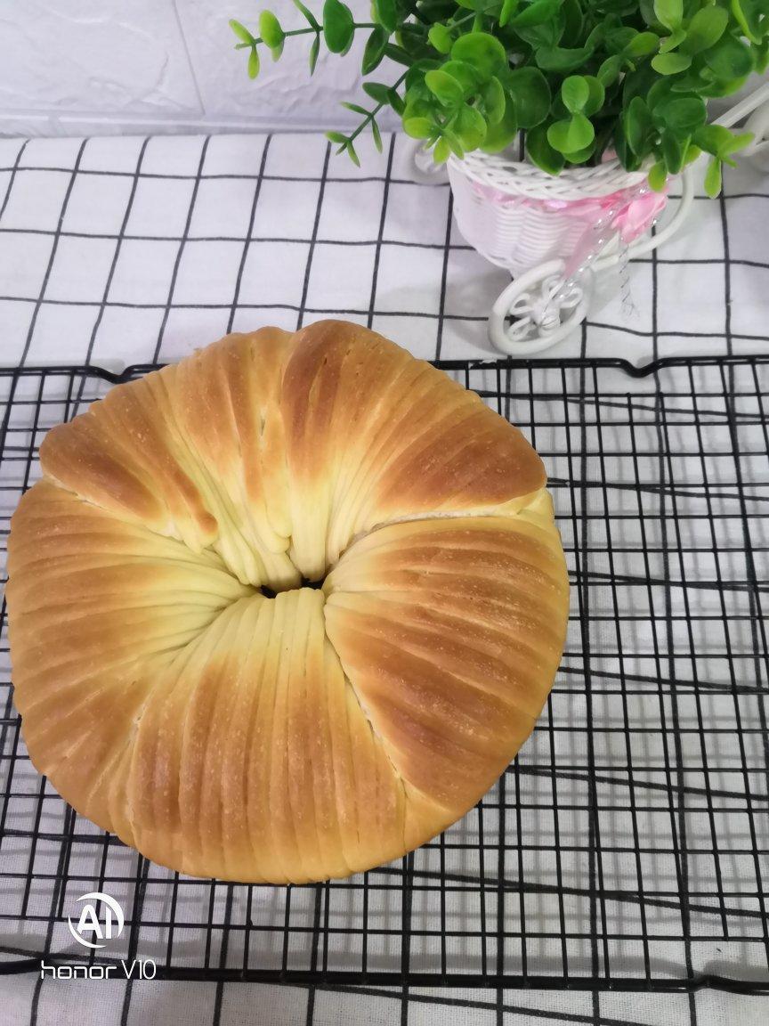 毛线球🧶面包