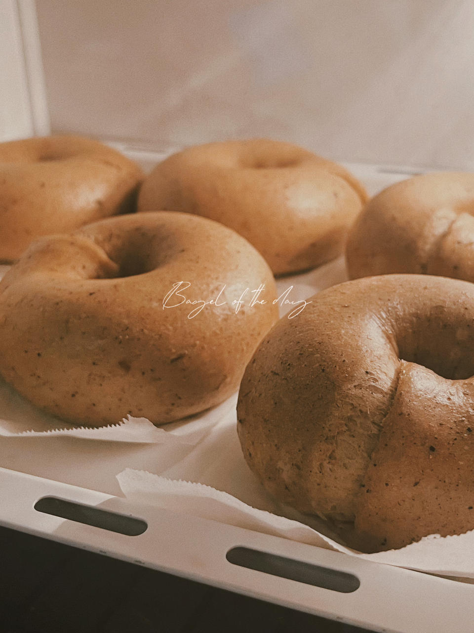 全麦贝果🥯