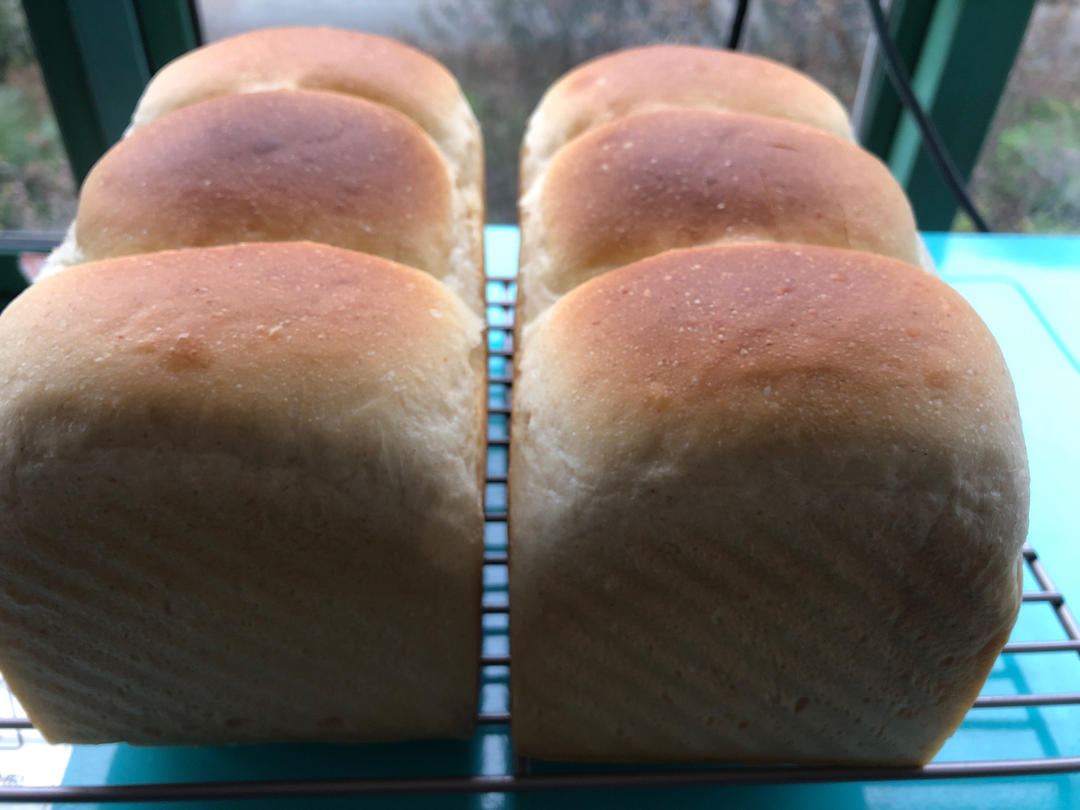 一发牛奶手撕吐司丨超柔软零失败配方分享