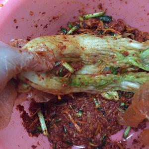 韩国泡菜、萝卜的做法 步骤10