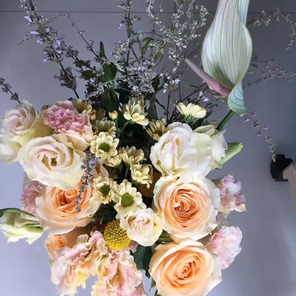 小松鼠爱吃松果