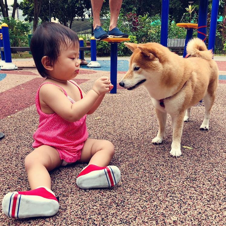 馒头和旺财的麻麻