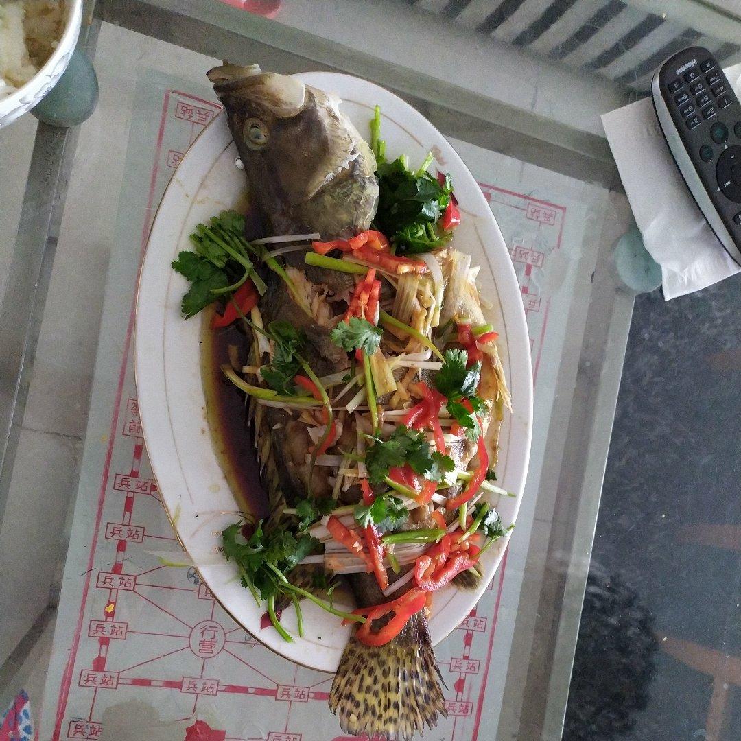 清蒸桂鱼
