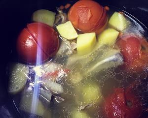 西红柿土豆炖扇子骨的做法 步骤3
