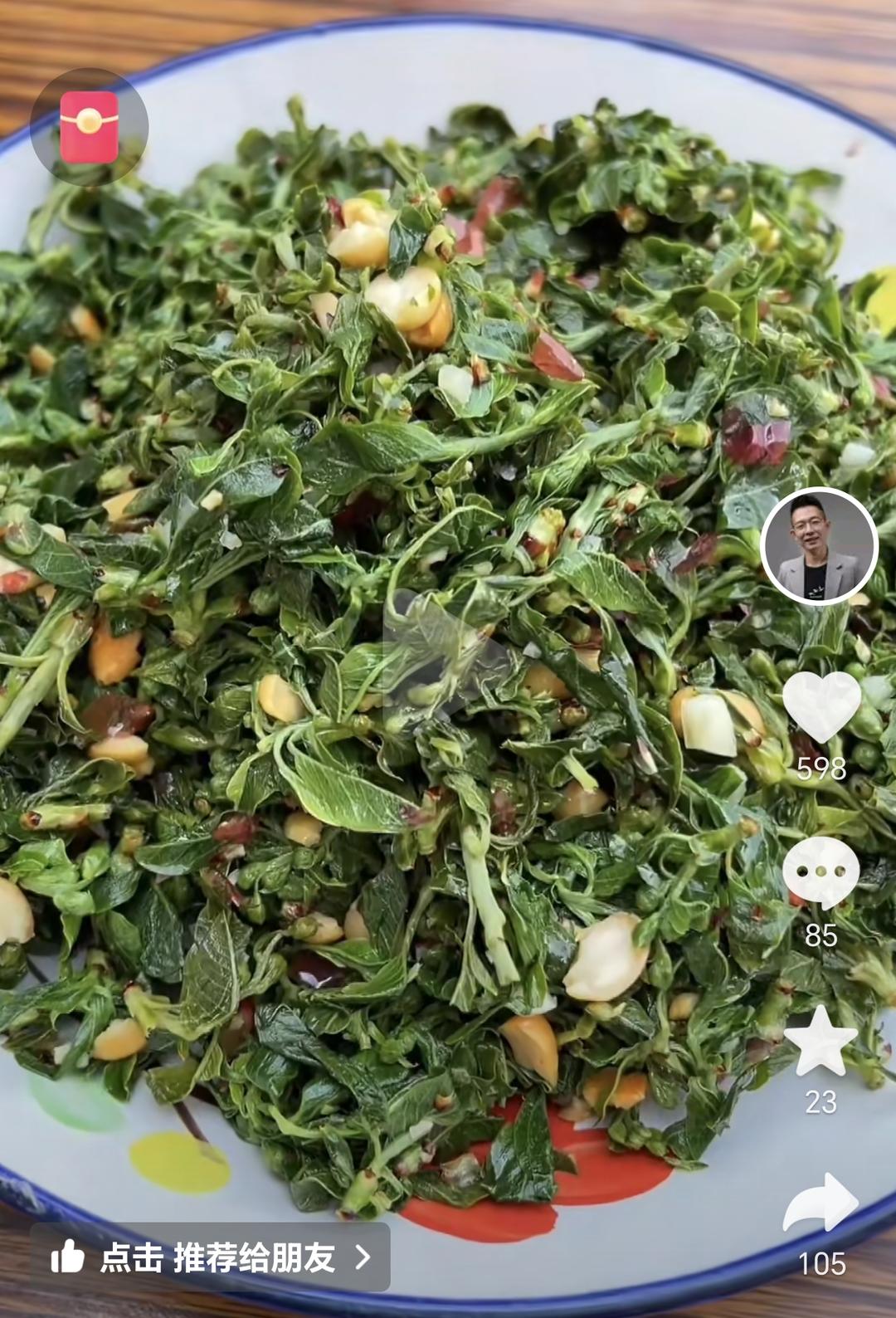 凉拌龙木芽