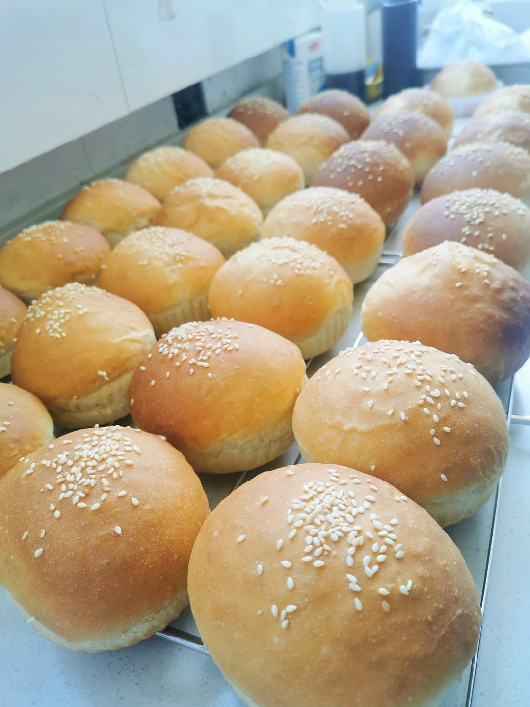 记录一个超级软的万用汉堡胚（波兰种）