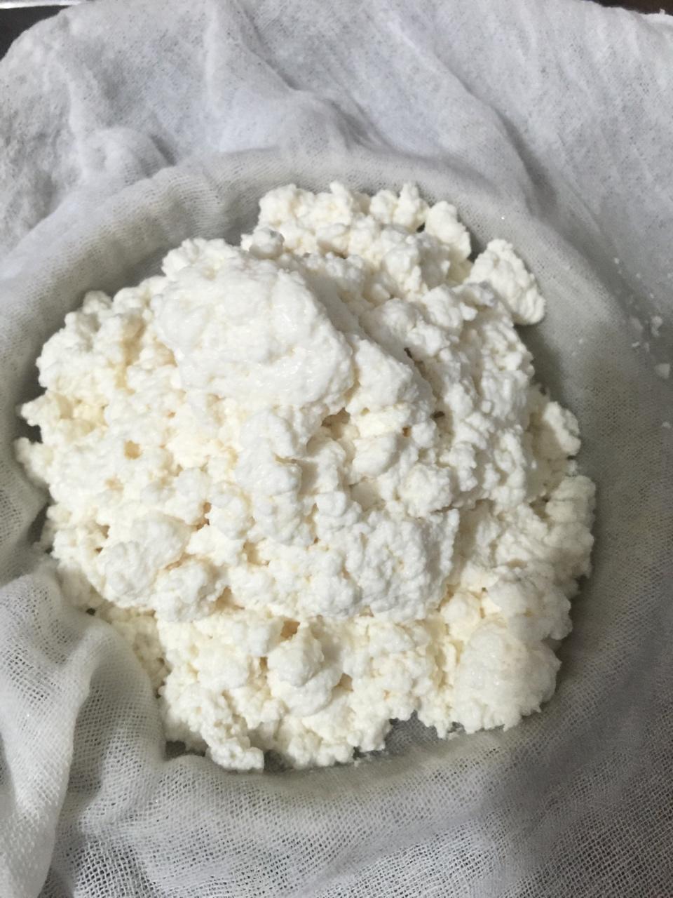 家庭自制奶油奶酪 Homemade Cream Cheese
