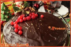 圣诞树莓巧克力蛋糕的做法 步骤12