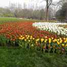 手机用户6756_7gnd