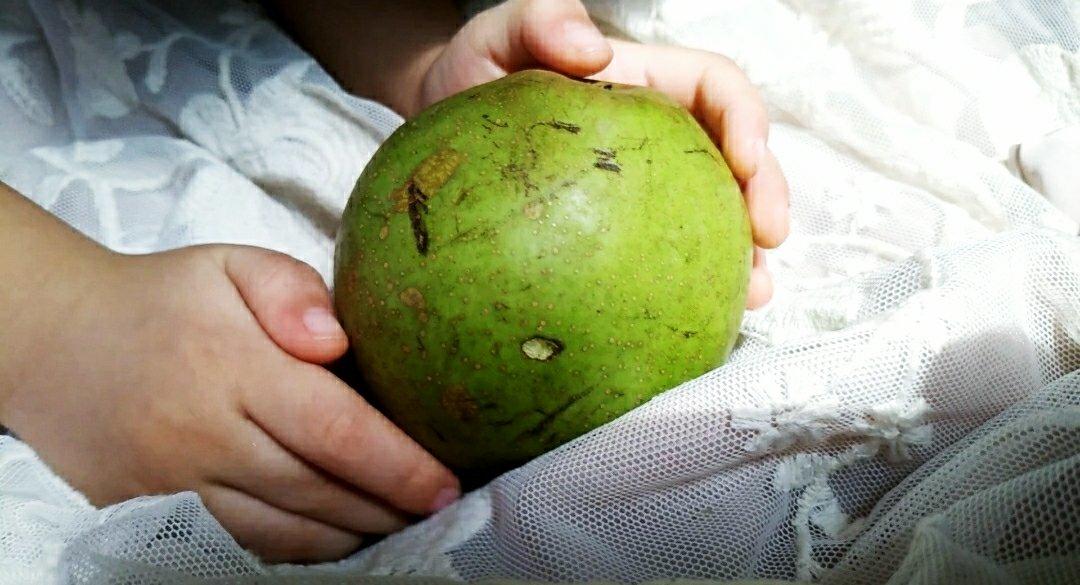 食物的本来面目