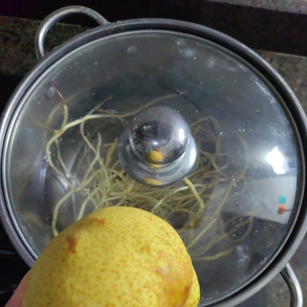 鱼腥草雪梨汤