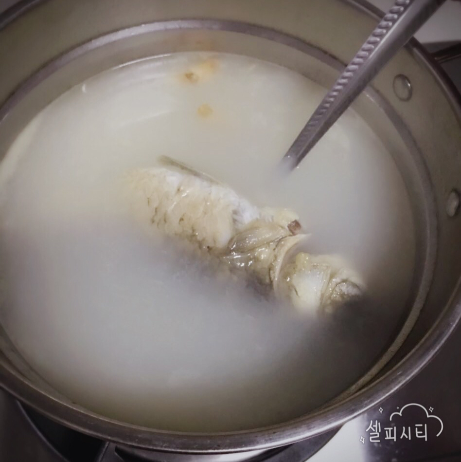 最好用的鲫鱼汤方子