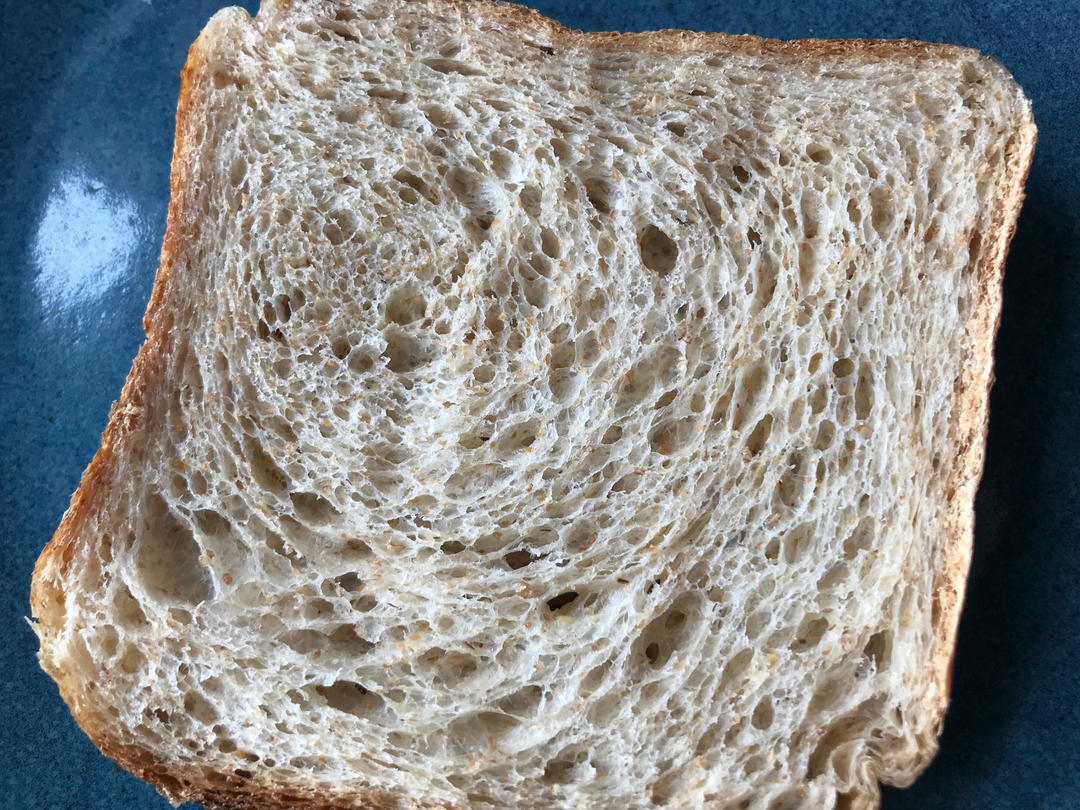 波兰种全麦吐司（40%全麦）