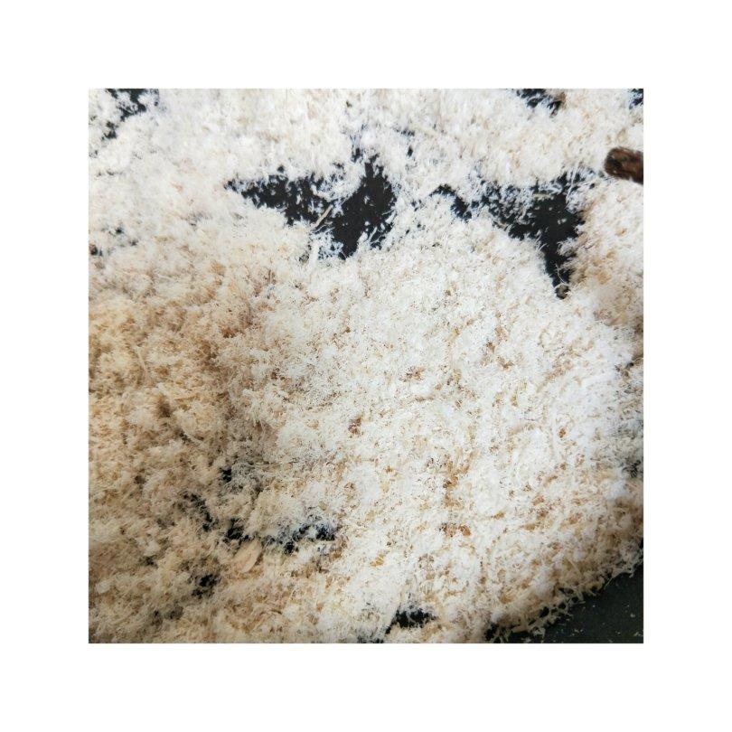 宝宝辅食鸡肉松👶🏻