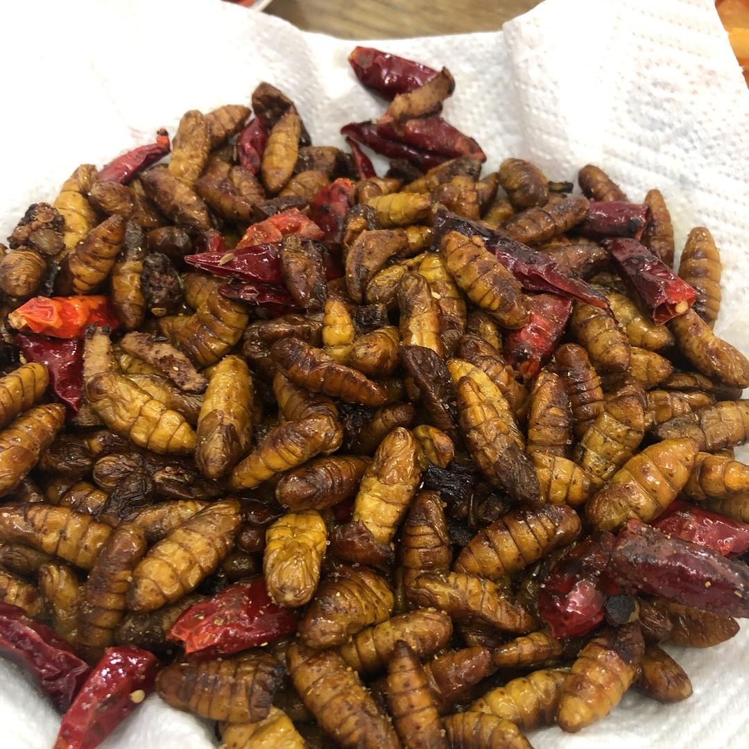 炒金丝蛹