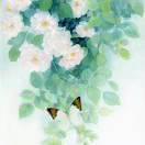 长春的天空