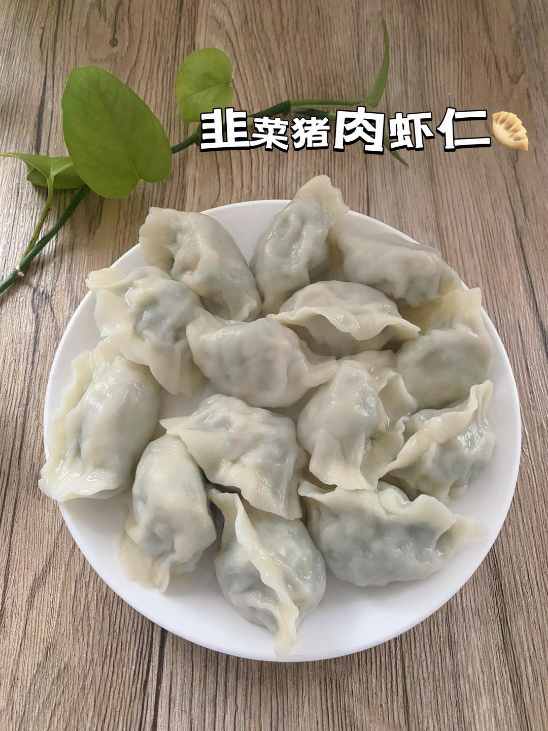 韭菜鸡蛋薄皮大馅素水饺
