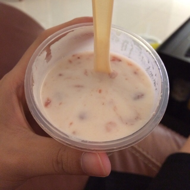 自制特浓酸奶