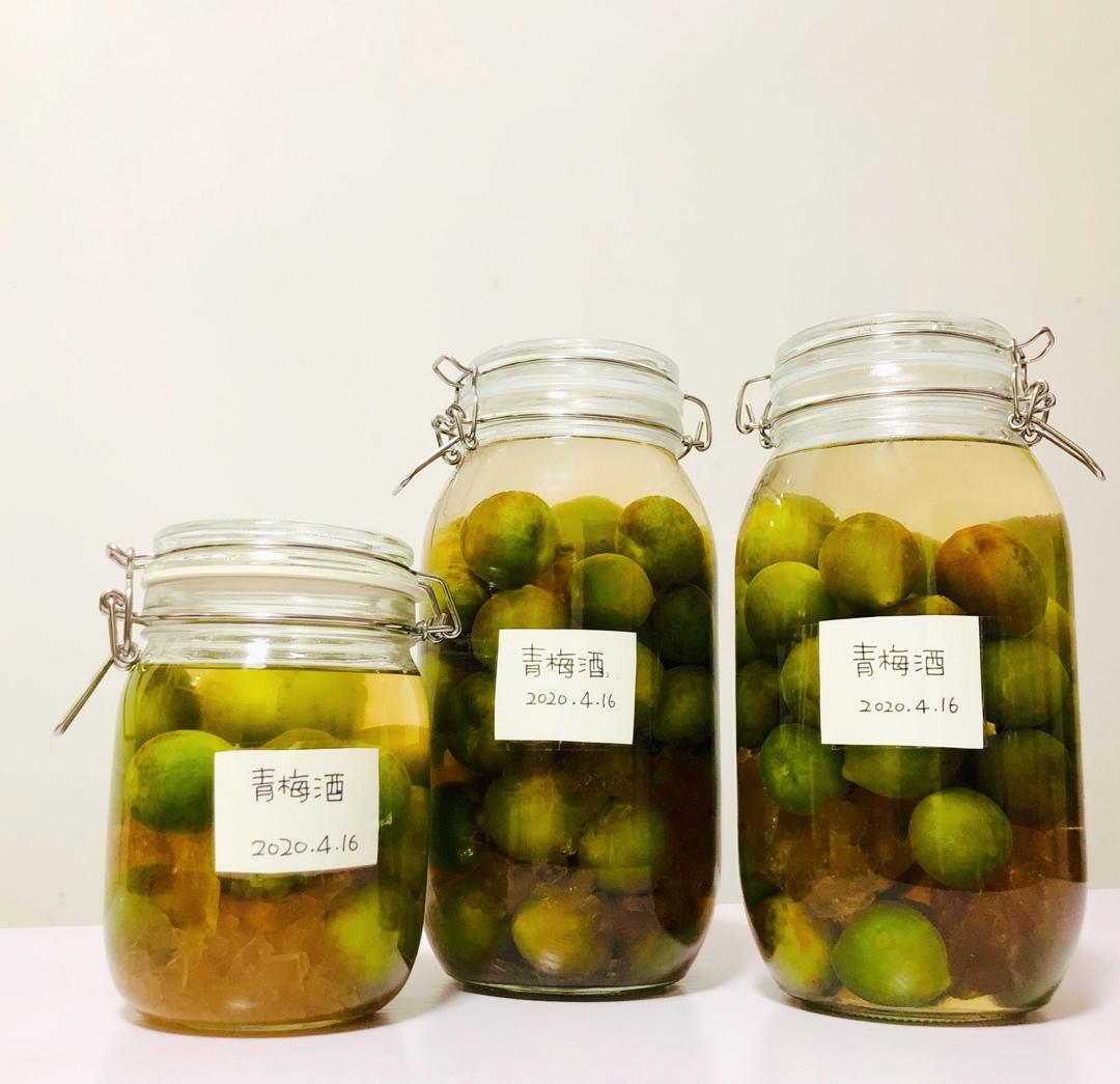 【青梅酒】梅子的沉醉时光（已填坑）