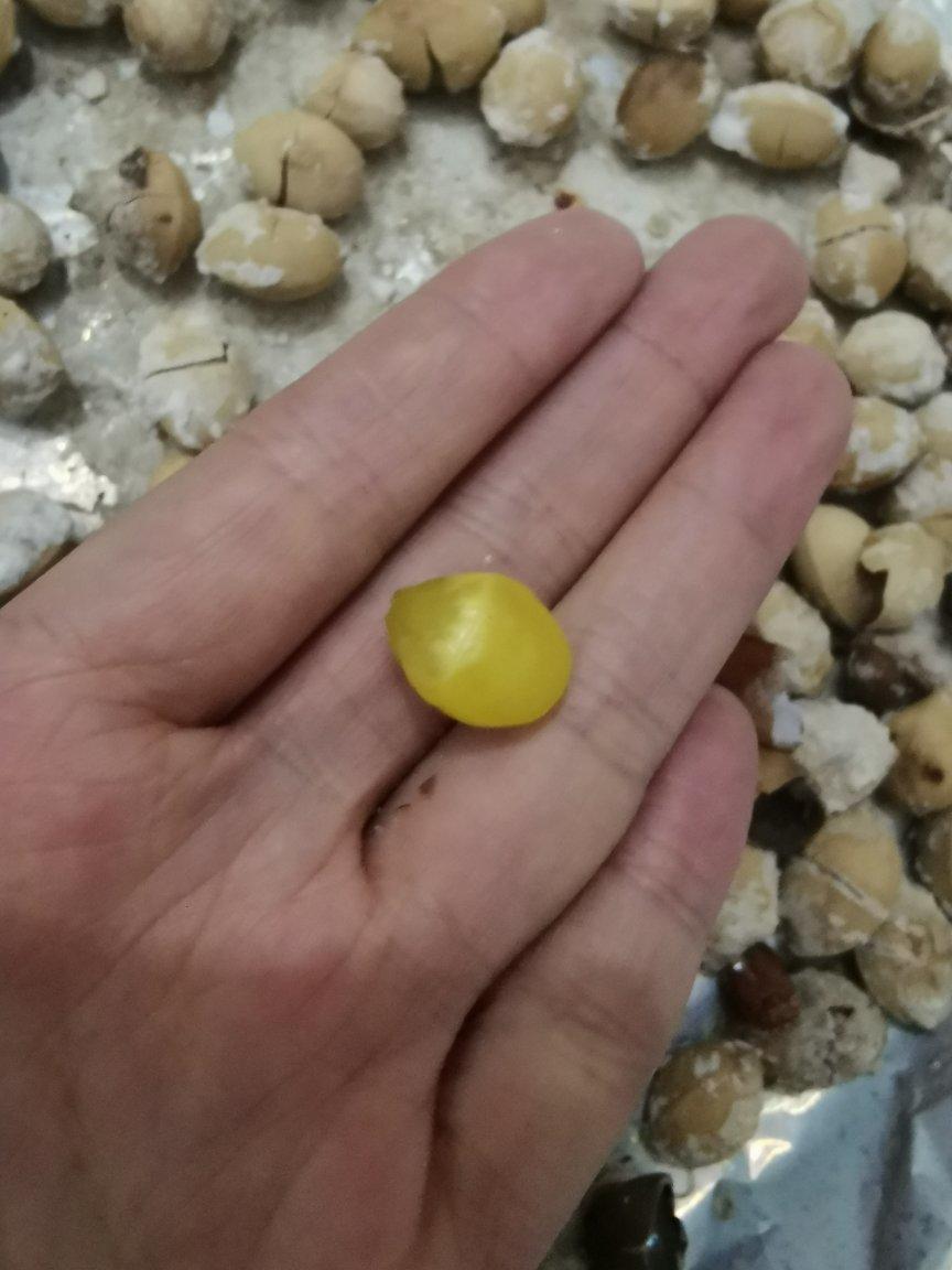 盐焗银杏果