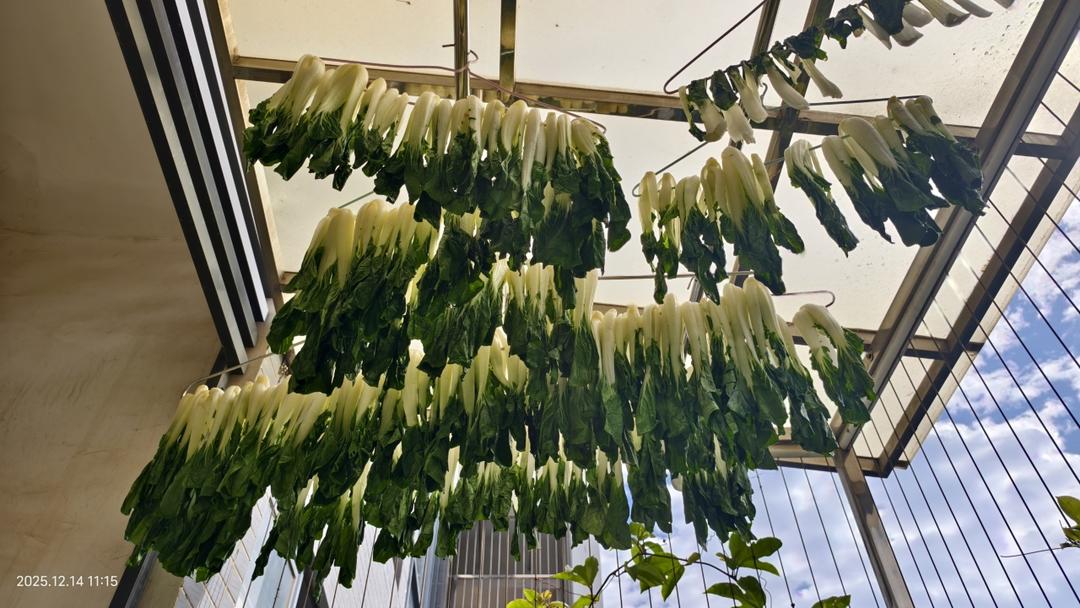 天气好好，晒点菜干吃吃