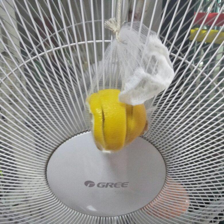 清新！风吹柠檬干