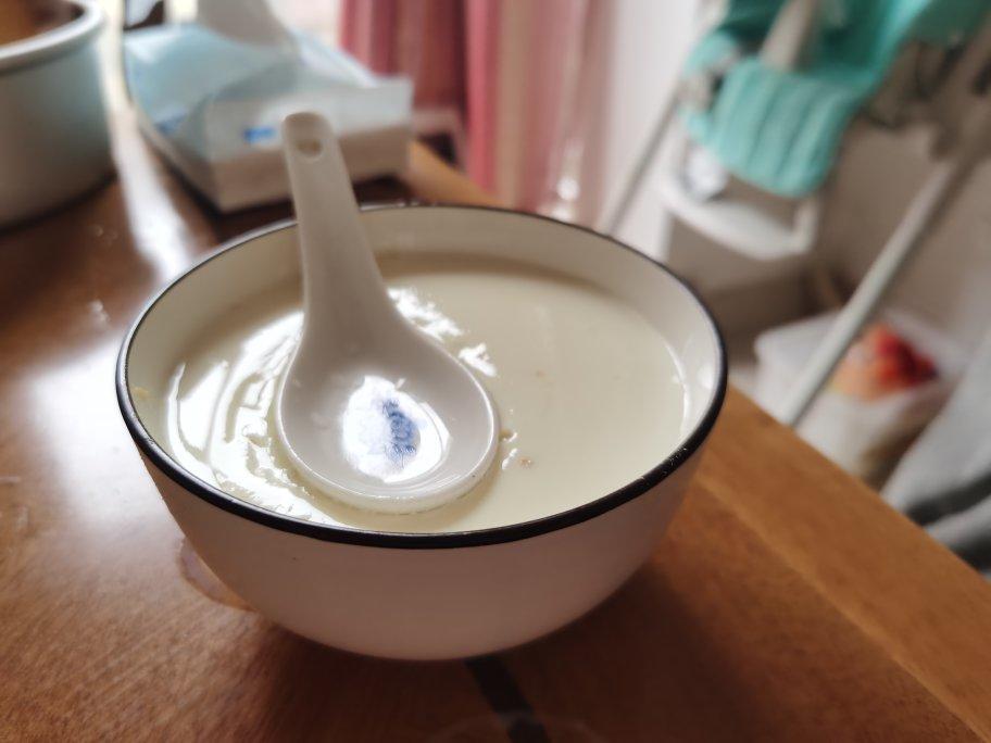 姜撞奶（零失败 估计这是最详细的姜撞奶教程了）