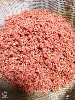 壮族三月三~红色糯米饭（红线绒）的做法 步骤5