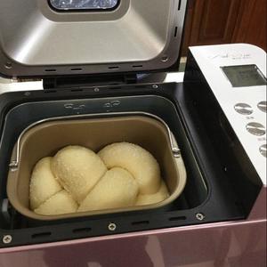 椰蓉麻花辫子面包（柏翠 PE8500W面包机）的做法 步骤14