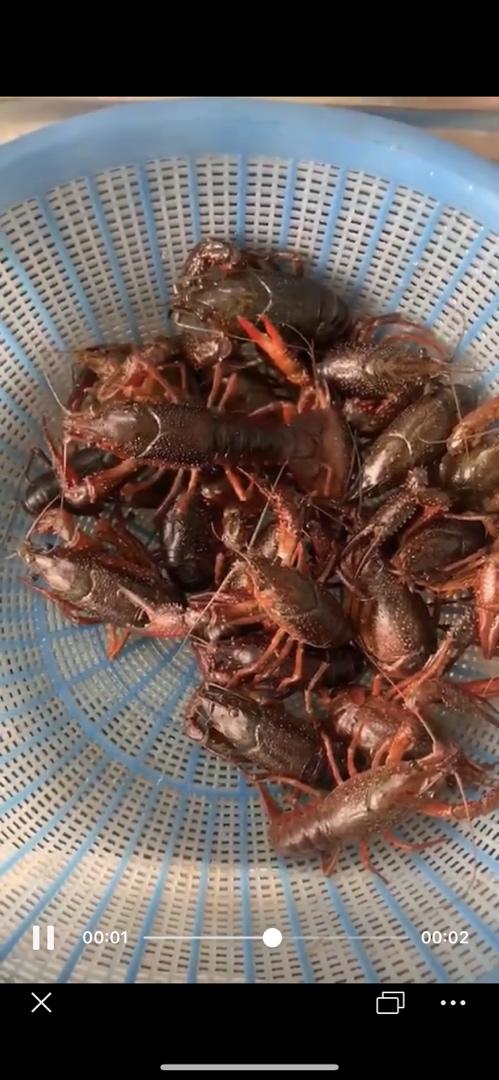 晚餐•2020年4月25日