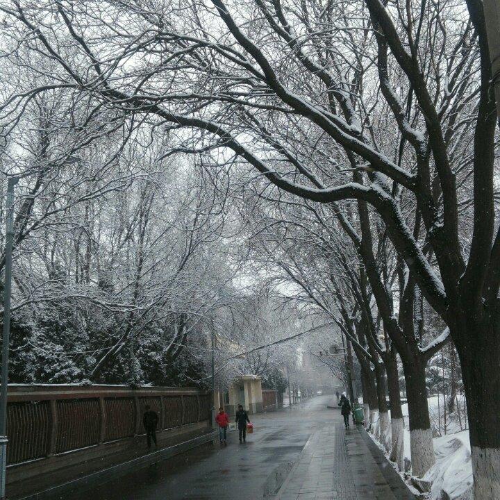 梅戈尔登