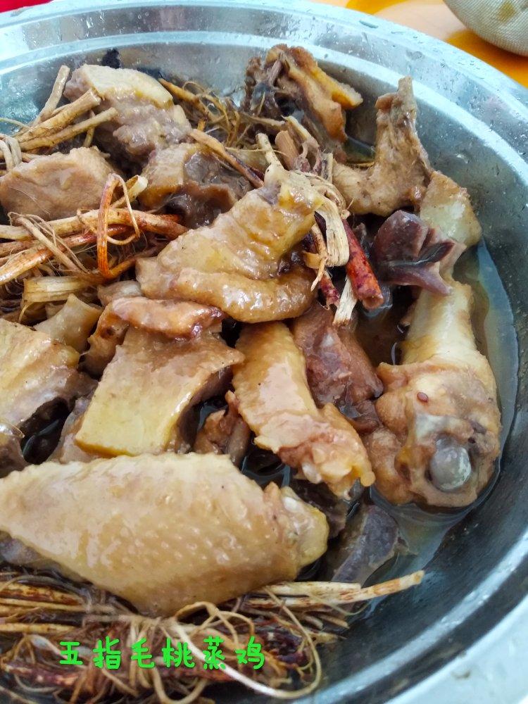 五指毛桃蒸鸡【我是马小坏】