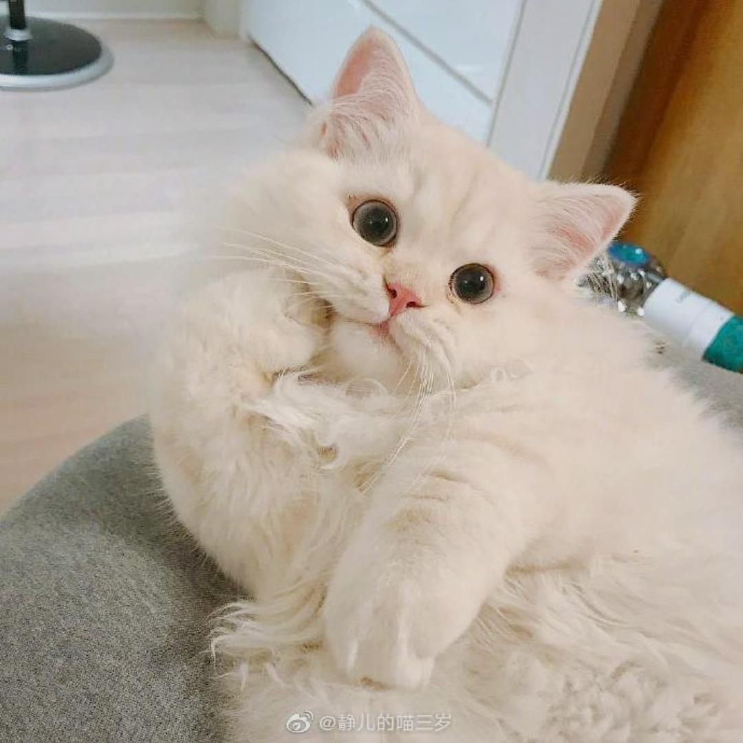 落落殿下LL