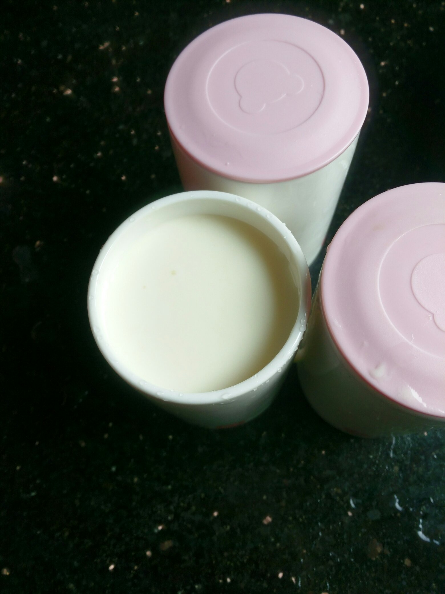 用奶粉自制酸奶的做法